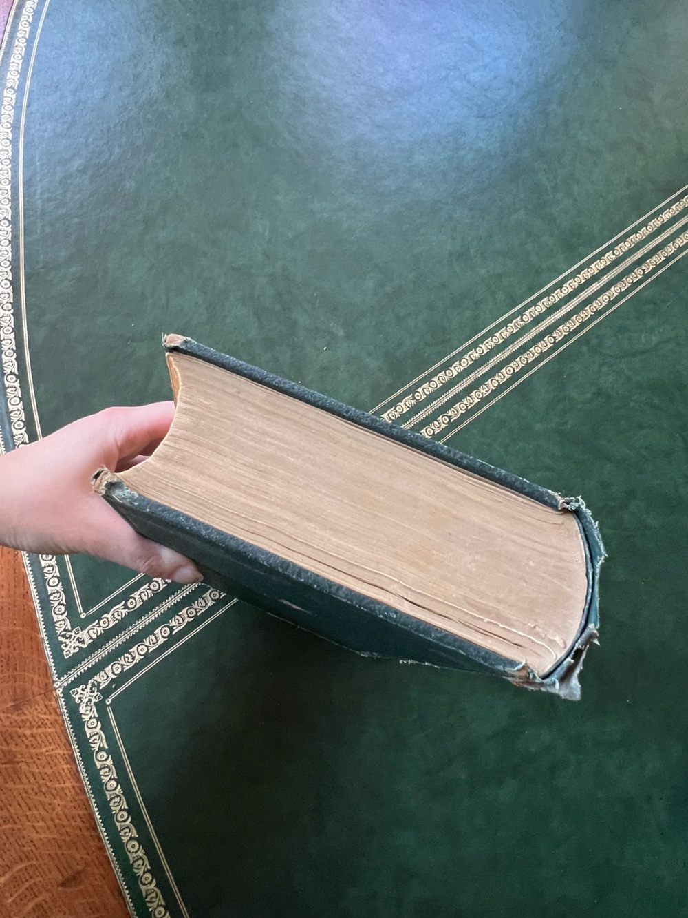 Antique Vintage 1936 23rd Edition Gray’s Anatomy of the Human Body Warren Lewis - Picture 3 of 12